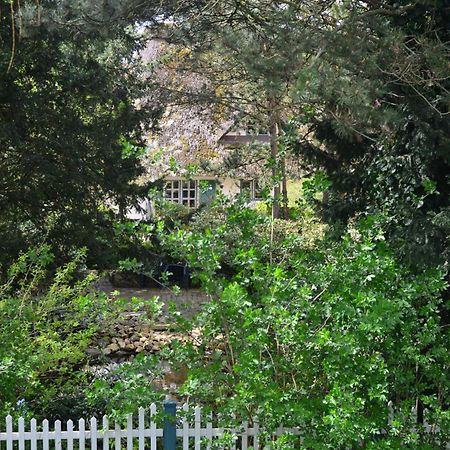 Ferienhof Tom Diek Jork Buitenkant foto